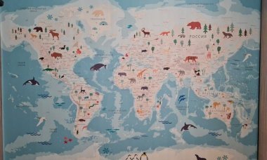Отзыв на Супер детальная детская карта мира-3