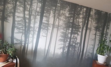 Отзыв на Лес в тумане
