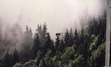 Отзыв на Загадочный туманный лес