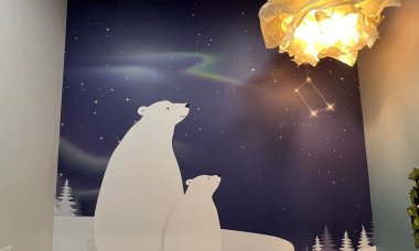 Отзыв на Большая медведица