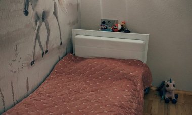 Отзыв на Степные лошади