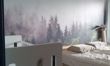 Отзыв на Загадочный туманный лес