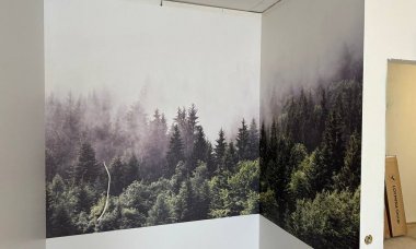 Отзыв на Загадочный туманный лес