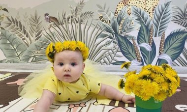 Отзыв на Джунгли-3