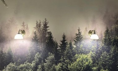 Отзыв на Загадочный туманный лес