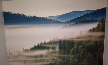 Отзыв на Горные туманы