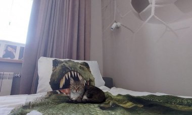 Отзыв на Гол