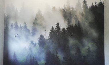 Отзыв на Норвежский лес