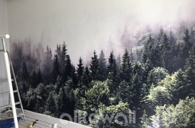Отзыв на Загадочный туманный лес